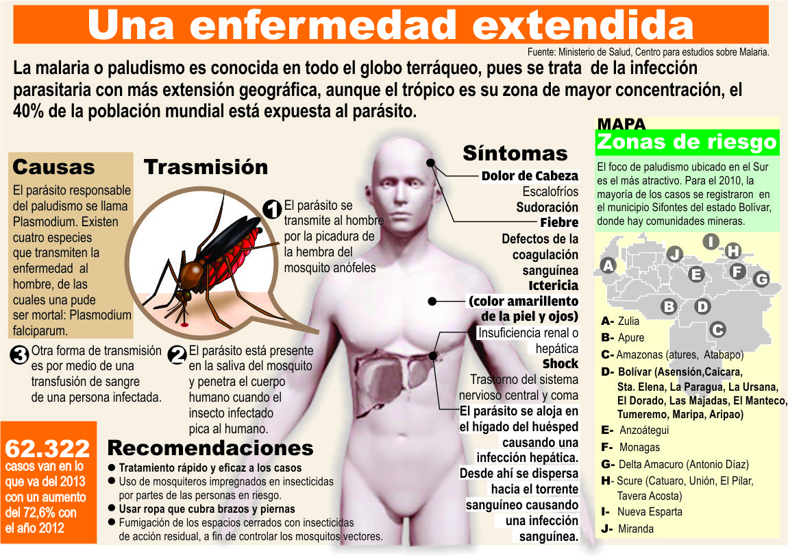 Vacunas Contra La Malaria Pdf